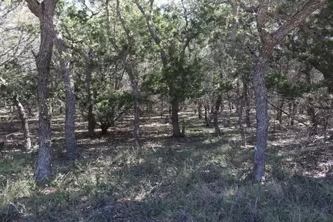 317 Swayze Rd, Utopia, TX 78884 photo 5