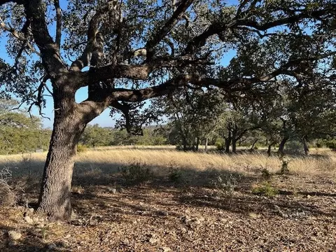 135 Cattlemans Crossing Dr, Harper, TX 78631 photo 17