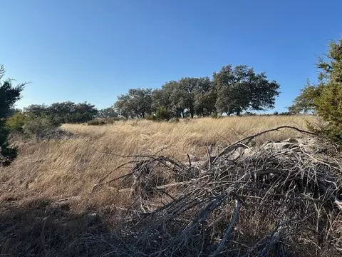 135 Cattlemans Crossing Dr, Harper, TX 78631 photo 11