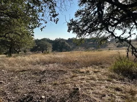 135 Cattlemans Crossing Dr, Harper, TX 78631 photo 18