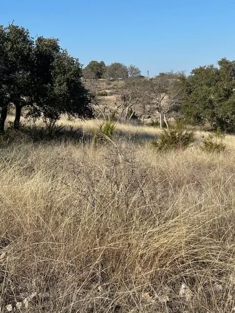 135 Cattlemans Crossing Dr, Harper, TX 78631 photo 4