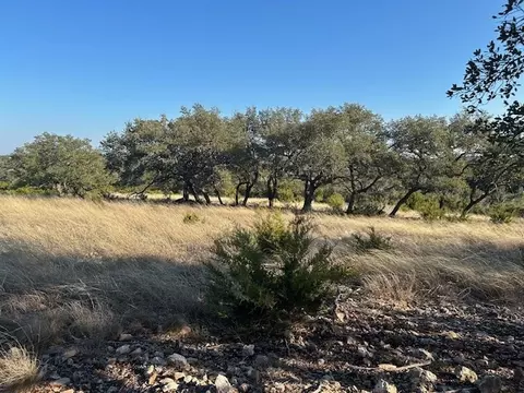 135 Cattlemans Crossing Dr, Harper, TX 78631 photo 15