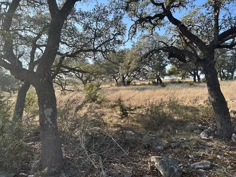 135 Cattlemans Crossing Dr, Harper, TX 78631 photo 14