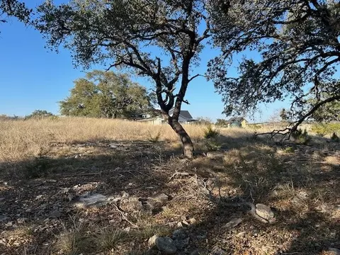 135 Cattlemans Crossing Dr, Harper, TX 78631 photo 13