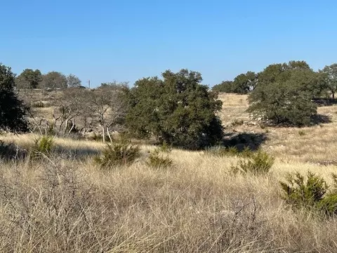 135 Cattlemans Crossing Dr, Harper, TX 78631 photo 5