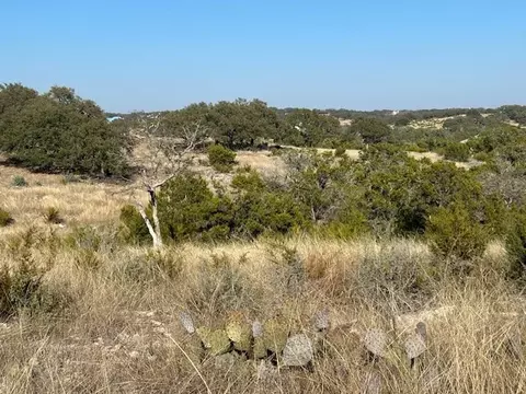 135 Cattlemans Crossing Dr, Harper, TX 78631 photo 6