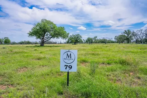 lot79 Stock Pond Dr, Harper, TX 78631
