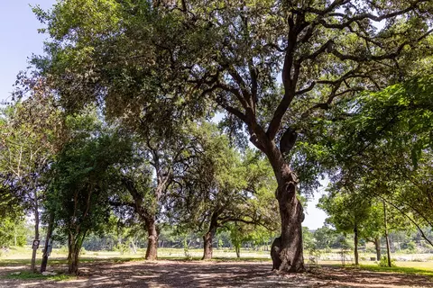 129 Old Ingram Loop, Ingram, TX 78025 photo 9