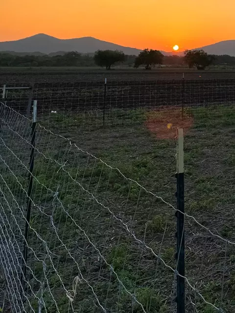 Other - 1008 B And R Rnch, Utopia, TX 78884 photo 9 of 9