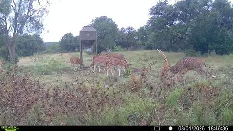 Other - 6729 Kc 210, Junction, TX 76849 photo 45 of 50