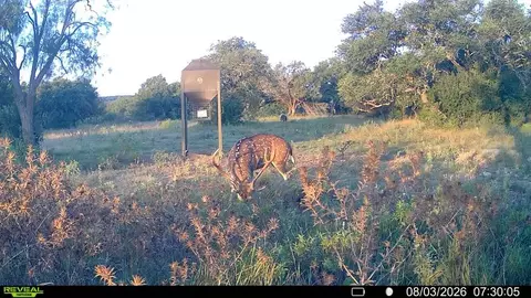 Other - 6729 Kc 210, Junction, TX 76849 photo 47 of 50