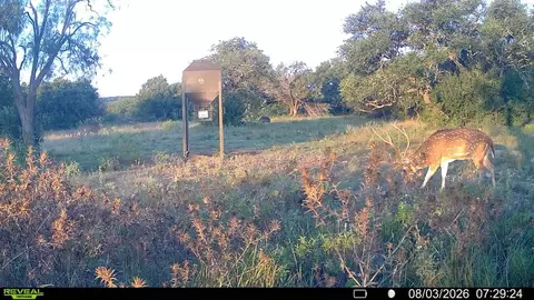 Other - 6729 Kc 210, Junction, TX 76849 photo 46 of 50