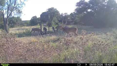 Other - 6729 Kc 210, Junction, TX 76849 photo 50 of 50