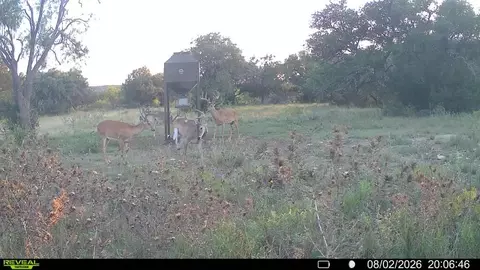 Other - 6729 Kc 210, Junction, TX 76849 photo 49 of 50