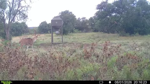 Other - 6729 Kc 210, Junction, TX 76849 photo 44 of 50