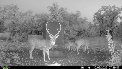 Undisclosed, Menard, TX 76859