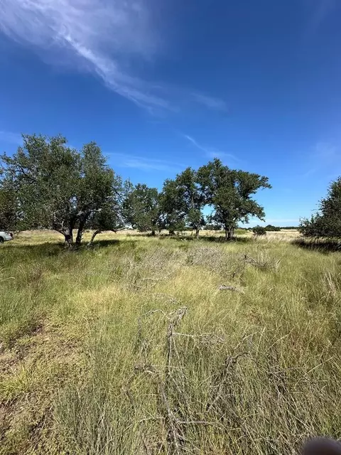 123 Lipan Loop, Harper, TX 78631 photo 2