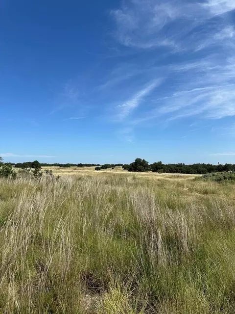 123 Lipan Loop, Harper, TX 78631 photo 12