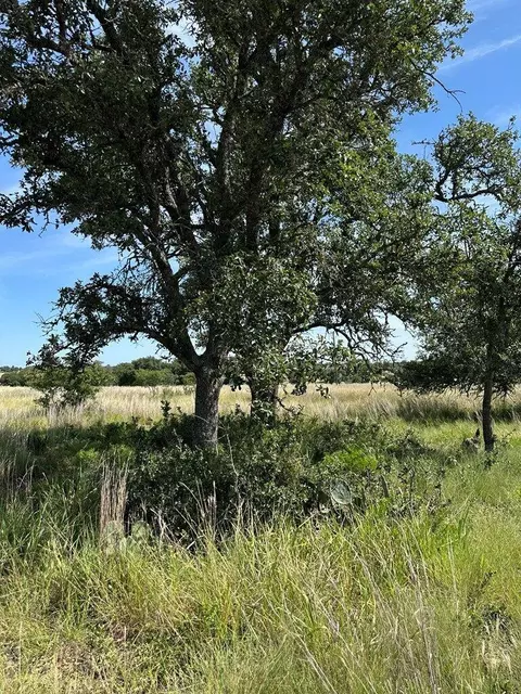 123 Lipan Loop, Harper, TX 78631 photo 11