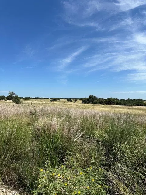 123 Lipan Loop, Harper, TX 78631 photo 15