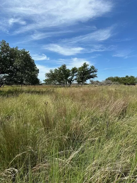 123 Lipan Loop, Harper, TX 78631 photo 14