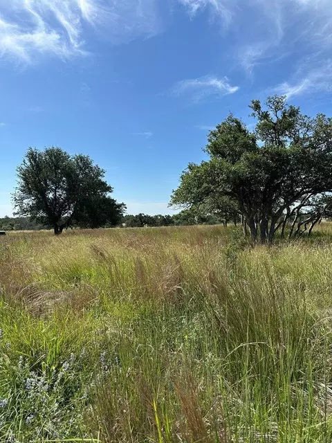 123 Lipan Loop, Harper, TX 78631 photo 17
