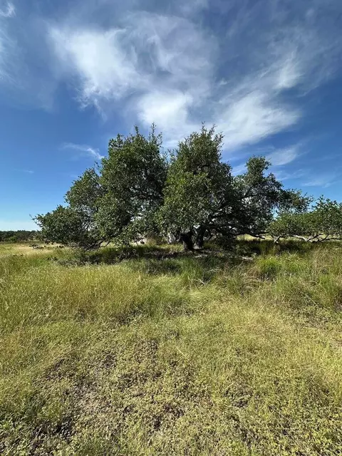 123 Lipan Loop, Harper, TX 78631 photo 10