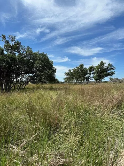 123 Lipan Loop, Harper, TX 78631 photo 16