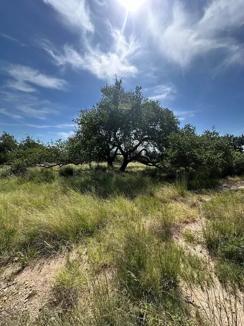 123 Lipan Loop, Harper, TX 78631 photo 8