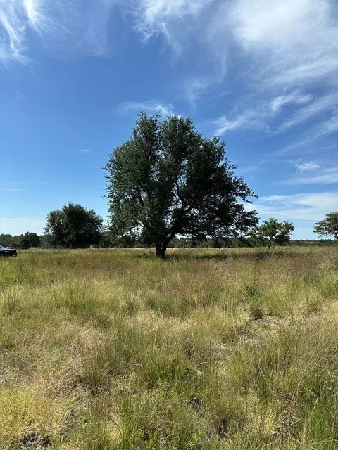 123 Lipan Loop, Harper, TX 78631 photo 13