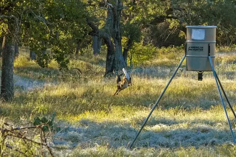 307 Gold-schaefer Rd, Fredericksburg, TX 78624