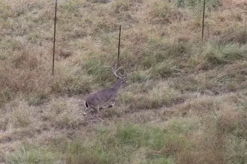 Other - Undisclosed, Junction, TX 76849 photo 16 of 27