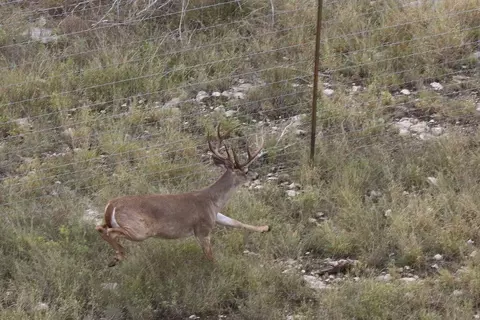 Other - Undisclosed, Junction, TX 76849 photo 23 of 27