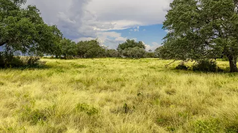 Other - Undisclosed, Junction, TX 76849 photo 4 of 27