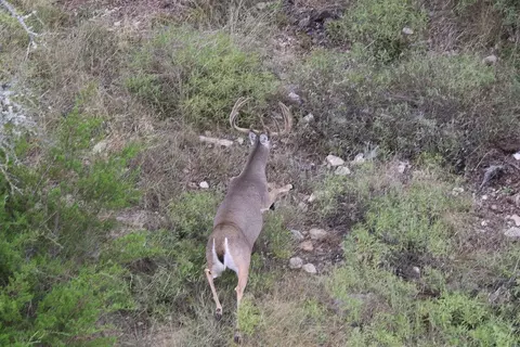 Other - Undisclosed, Junction, TX 76849 photo 20 of 27