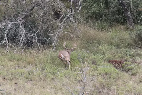 Other - Undisclosed, Junction, TX 76849 photo 27 of 27