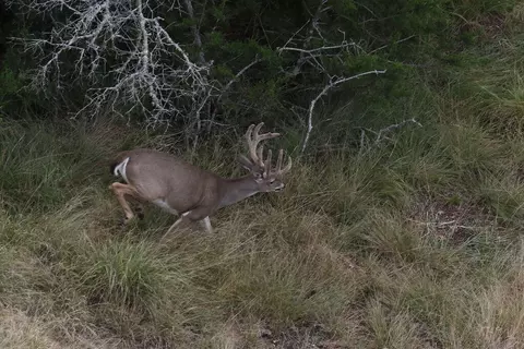 Other - Undisclosed, Junction, TX 76849 photo 24 of 27