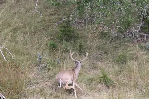 Other - Undisclosed, Junction, TX 76849 photo 25 of 27