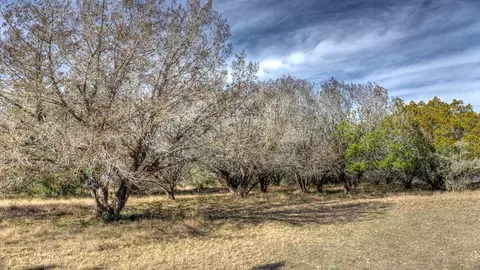 Exterior - 22 Squirrel Bnd, Uvalde, TX 78801 photo 8 of 15