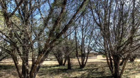 Other - 22 Squirrel Bnd, Uvalde, TX 78801 photo 5 of 8