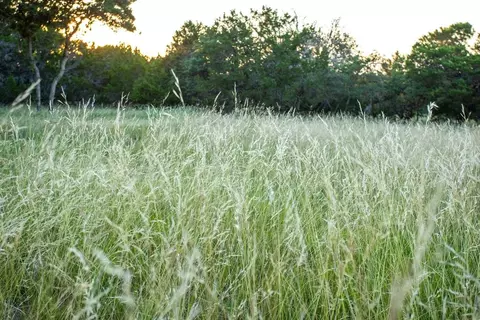 Other - 2275 Camino Real, Junction, TX 76849 photo 7 of 21