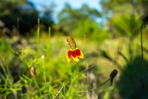 Other - 2275 Camino Real, Junction, TX 76849 photo 4 of 21