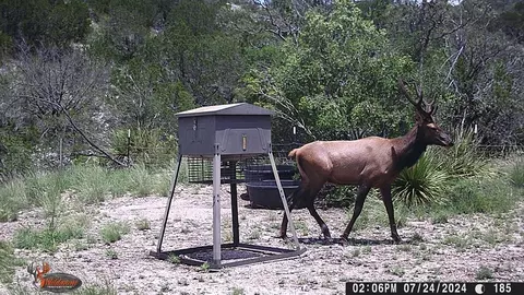 148 SW 9 Ac Sw Fm 2523, Rocksprings, TX 78880