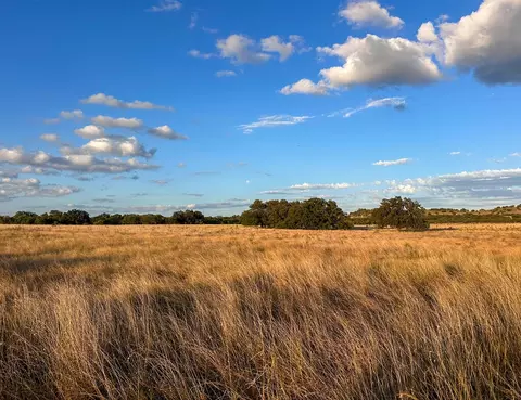 284 Pump Station Rd, Mason, TX 76856