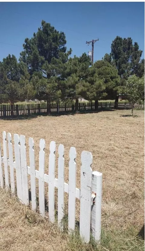 3312 Mckinley St, Plainview, TX 79072 photo 9