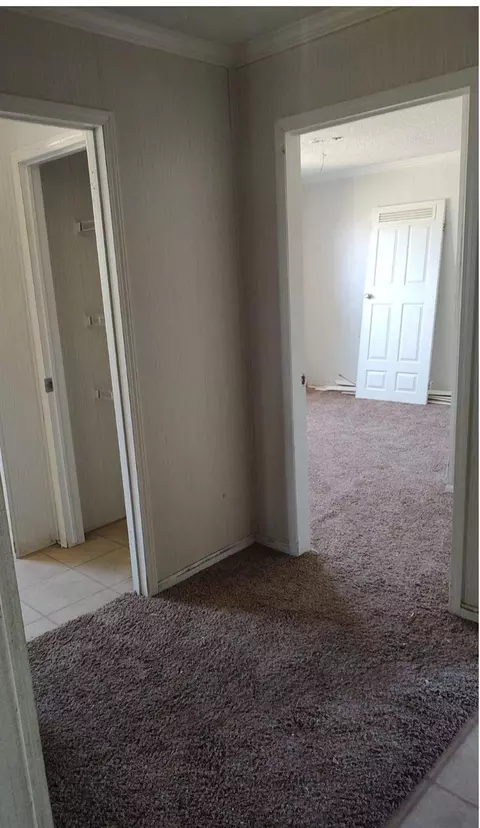3312 Mckinley St, Plainview, TX 79072 photo 5