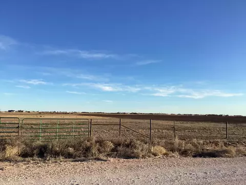 Steer Road, Ropesville, TX 79358