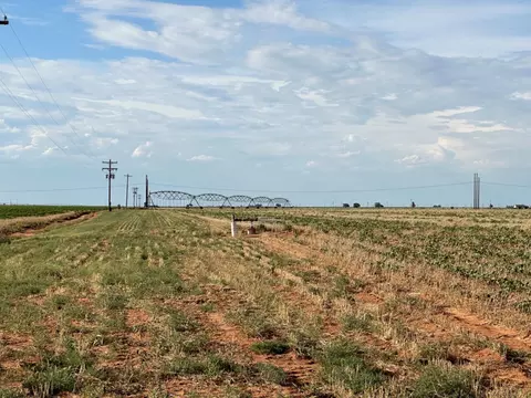 0 Tiger, Ropesville, TX 79358 photo 4