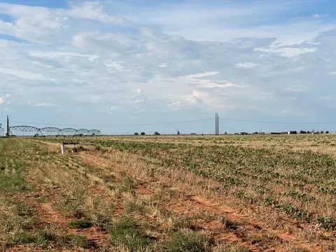 0 Tiger, Ropesville, TX 79358 photo 6