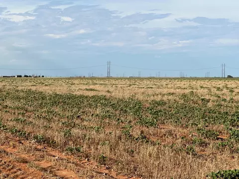 0 Tiger, Ropesville, TX 79358 photo 7